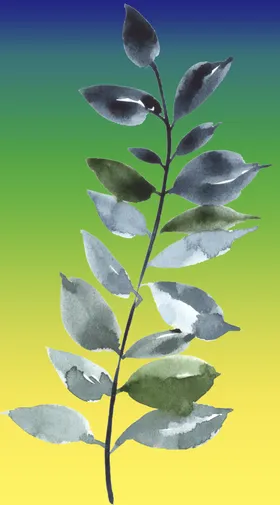 植物素材