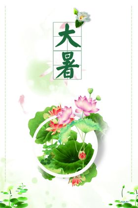 荷花插画海报图片