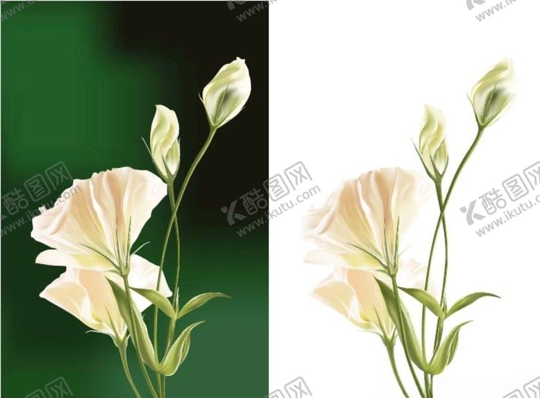 编号：55624809140127463965【酷图网】源文件下载-矢量鲜花素材花朵花卉