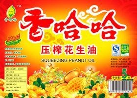 中国风包装