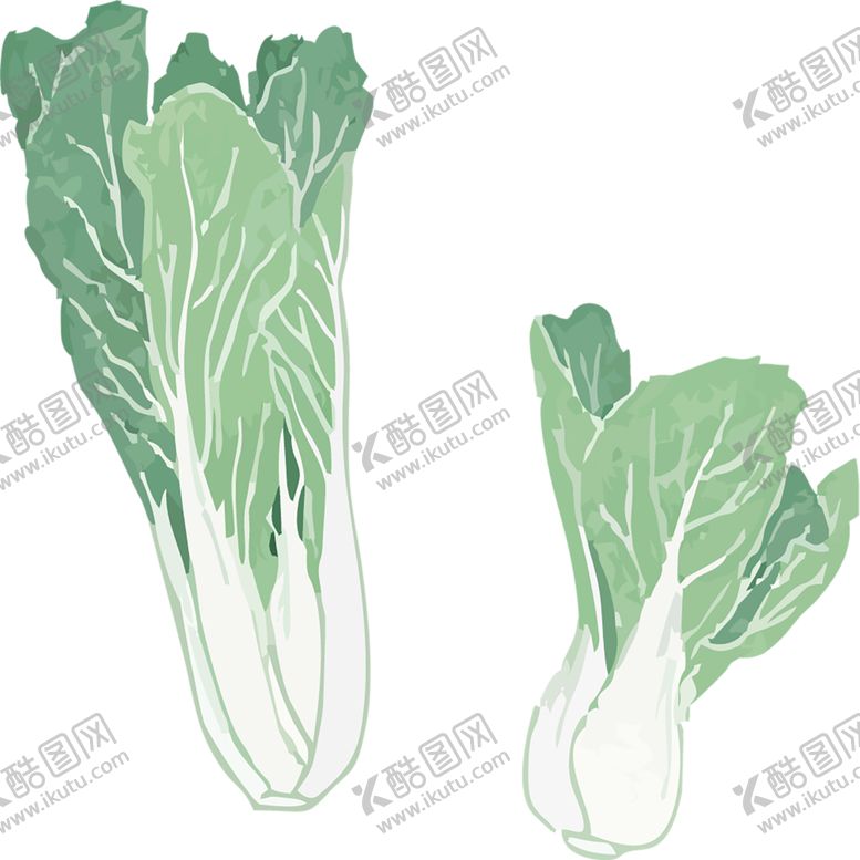 编号：90931309271208481622【酷图网】源文件下载-绿色植物