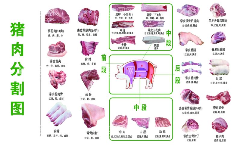 编号：20625011292243515502【酷图网】源文件下载-猪肉分割图