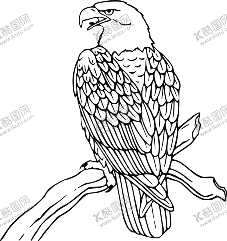 编号：65346901162324364042【酷图网】源文件下载-雕线稿图