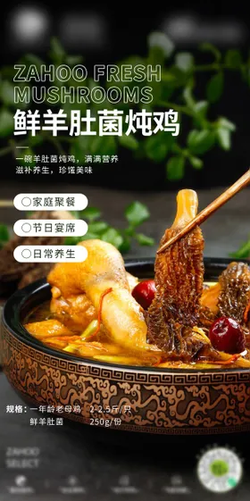 摄影图鲜羊肚菌炖鸡海报