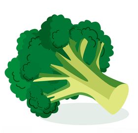 手绘西兰花