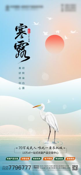 寒露海报