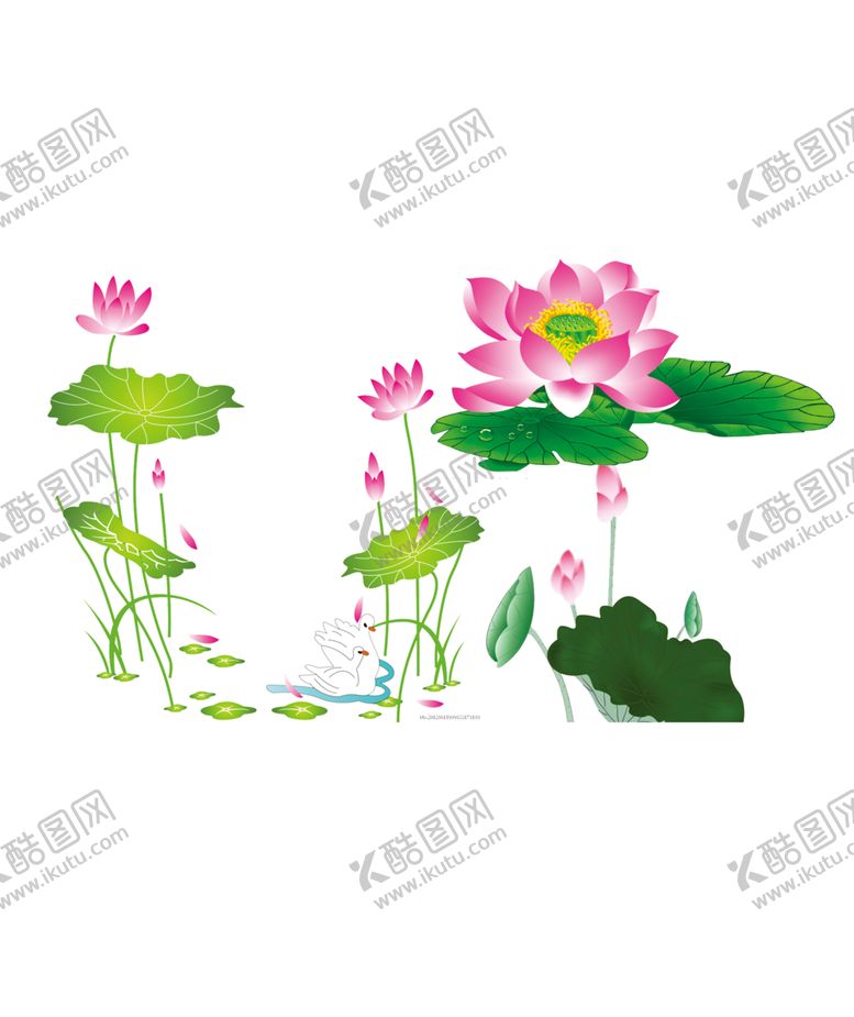 编号：42306609251900324220【酷图网】源文件下载-荷花
