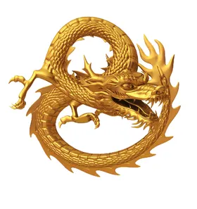 金龙插画色素材