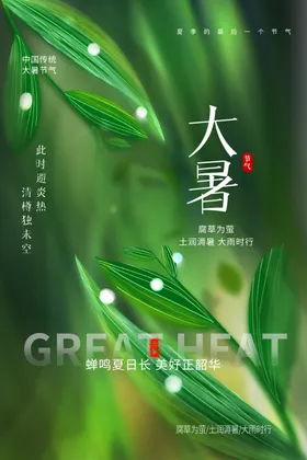 大暑海报设计设计高端节气稿素材