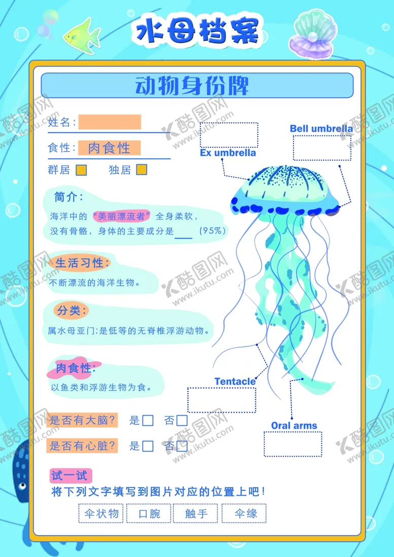 编号：28013503010510447205【酷图网】源文件下载-海洋馆研学手册