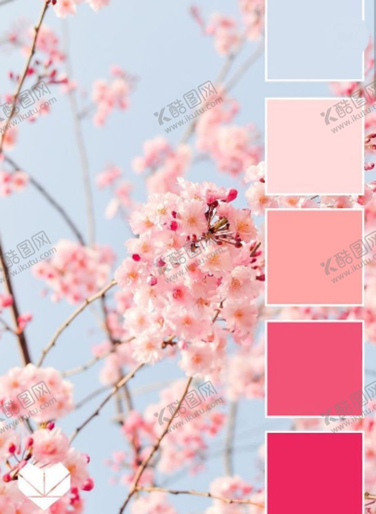 编号：13912209280514112905【酷图网】源文件下载-樱花配色方案