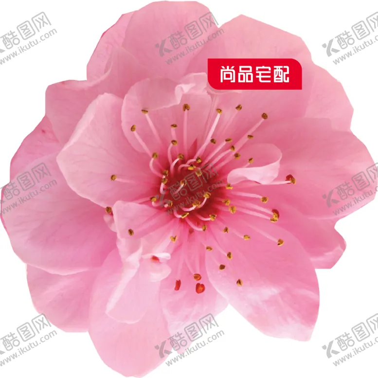 编号：73760704132049587150【酷图网】源文件下载-活动不干胶