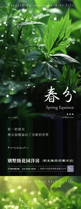 清明春分节气海报