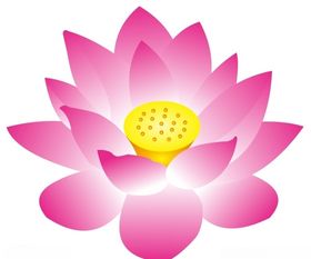 莲花上拾叁