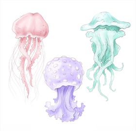 卡通水母