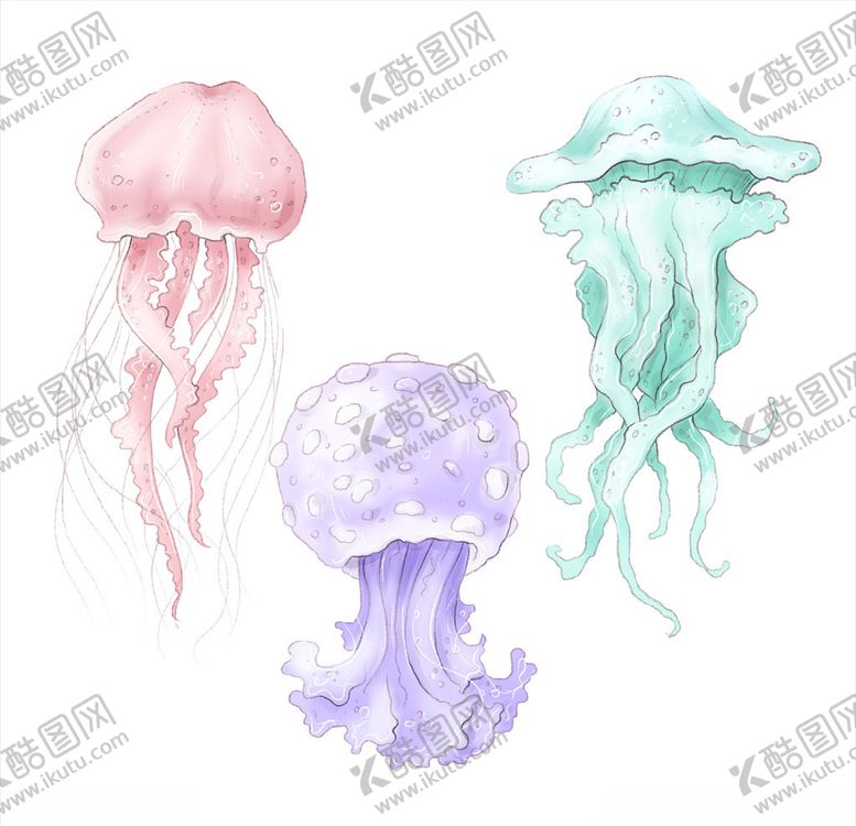 编号：80266906250041083937【酷图网】源文件下载-卡通水母