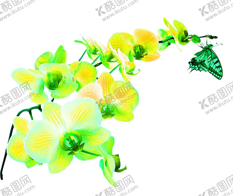 编号：46801409260318564656【酷图网】源文件下载-花素材