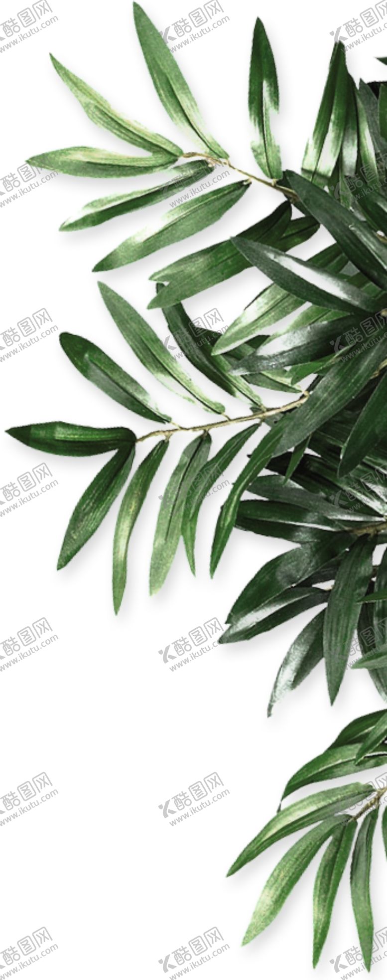 编号：76179907062350598105【酷图网】源文件下载-绿植素材