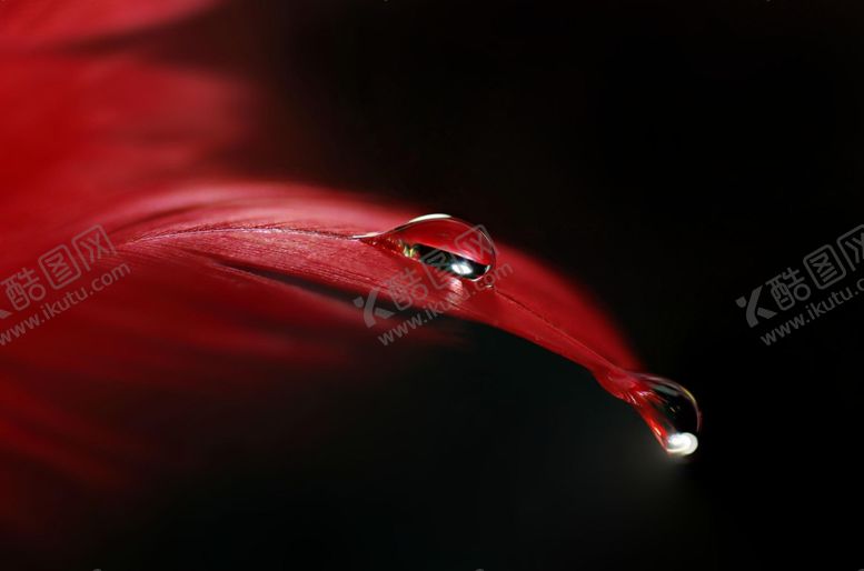 编号：67965706181103346424【酷图网】源文件下载-红色背景