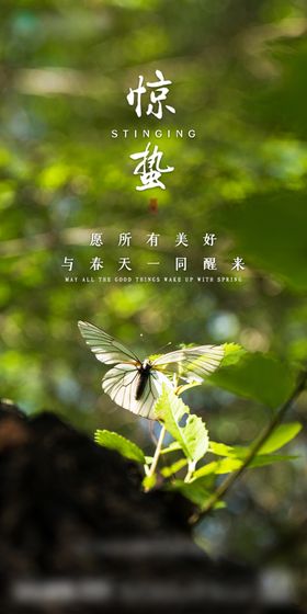 惊蛰