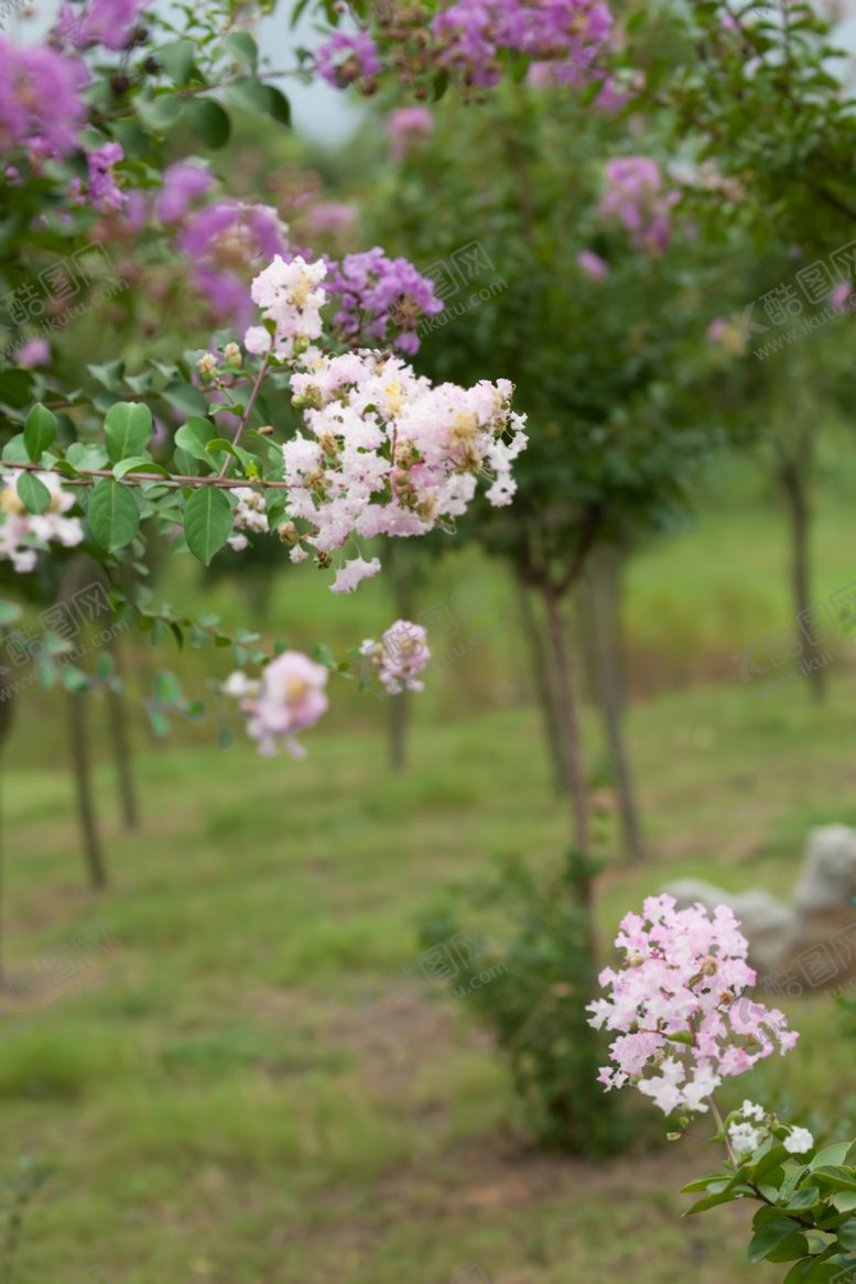 编号：66689310060453417032【酷图网】源文件下载-风景照