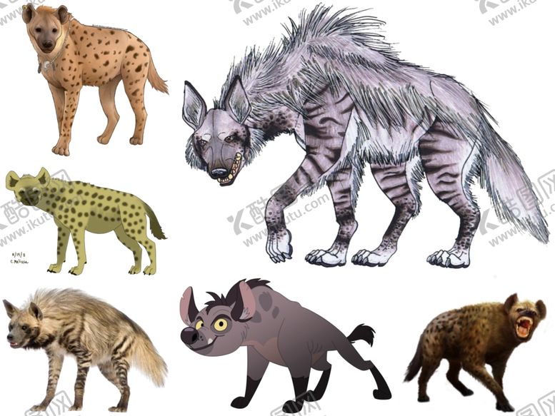 编号：83431609210705012035【酷图网】源文件下载-猎狗png免扣高清素材