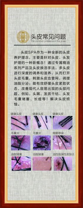 头疗展板