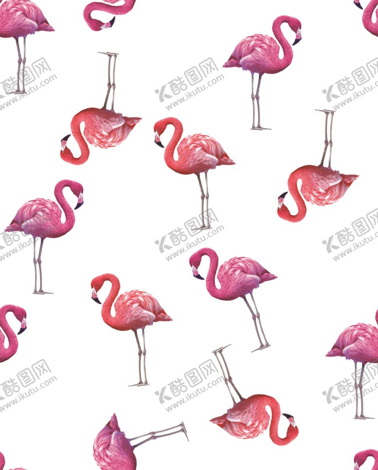 编号：38886509190026148009【酷图网】源文件下载-火烈鸟