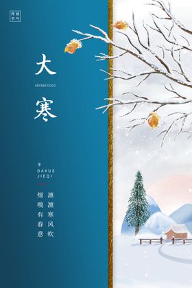 24节气创意海报大寒海报