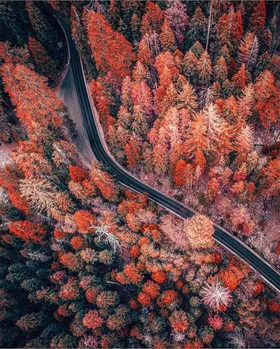 山林