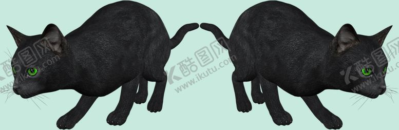 编号：78108311271003254117【酷图网】源文件下载-猫咪