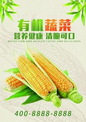 高清图水果蔬菜玉米