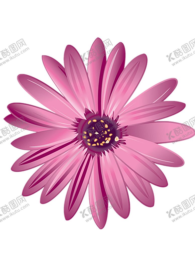 编号：95146106152100106464【酷图网】源文件下载-鲜花素材