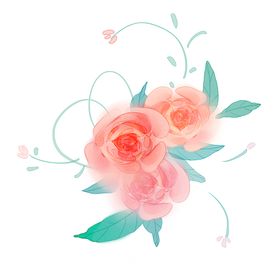 花朵月季牡丹插画卡通海报素材