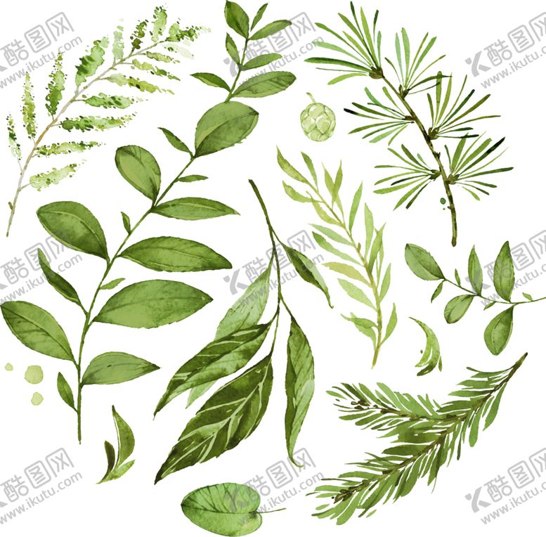 编号：62600809280434214695【酷图网】源文件下载-手绘植物叶子