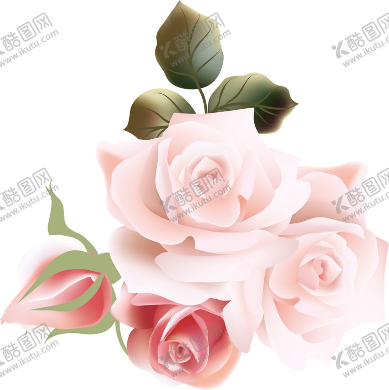 编号：65697906290018144036【酷图网】源文件下载-鲜花素材