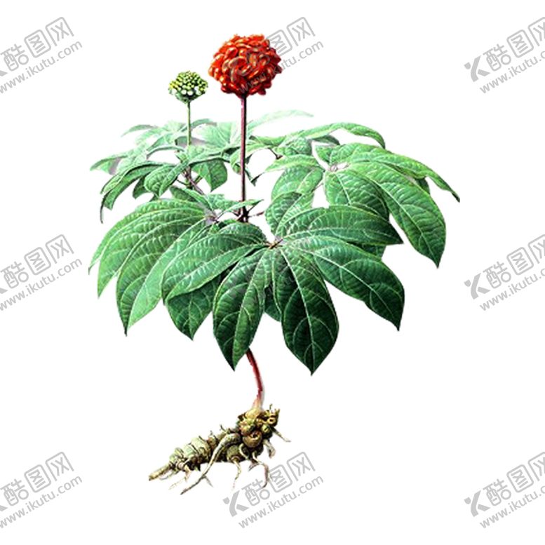 编号：76057810091813355493【酷图网】源文件下载-三七