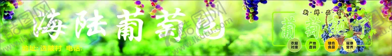编号：72873010260043395136【酷图网】源文件下载-海陆葡萄灯布