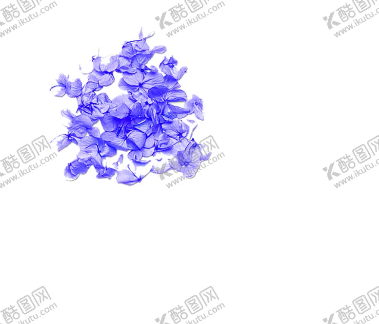 编号：22551709260938509598【酷图网】源文件下载-花素材