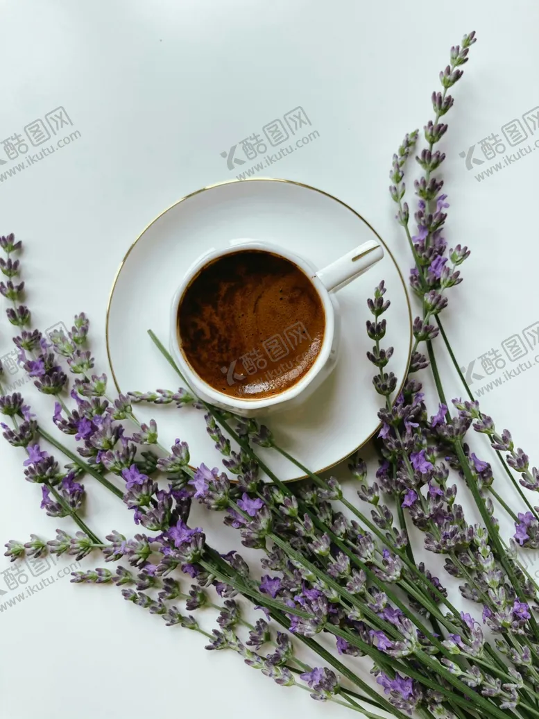 编号：65218601140451347087【酷图网】源文件下载-薰衣草