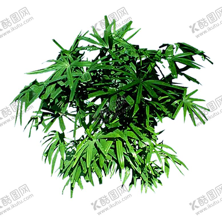 编号：72296810121806471800【酷图网】源文件下载-绿色装饰