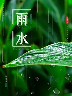 雨水节海报