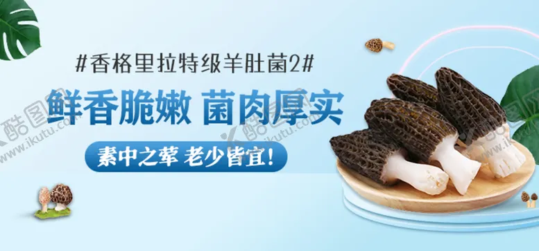 编号：34692710090006331473【酷图网】源文件下载-菌类 蘑菇