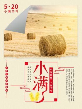 小满节气海报