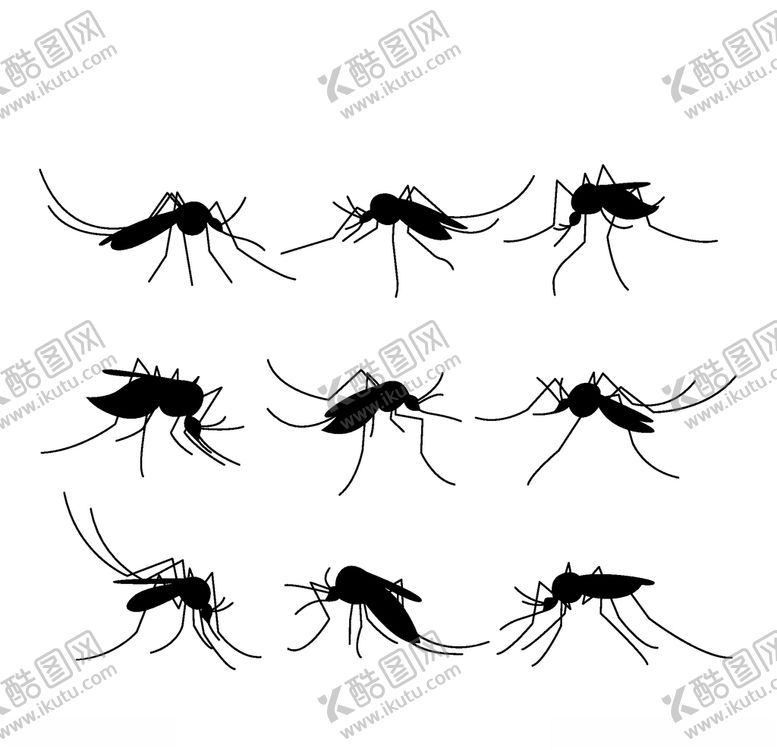 编号：74049509280003006290【酷图网】源文件下载-蚊子剪影