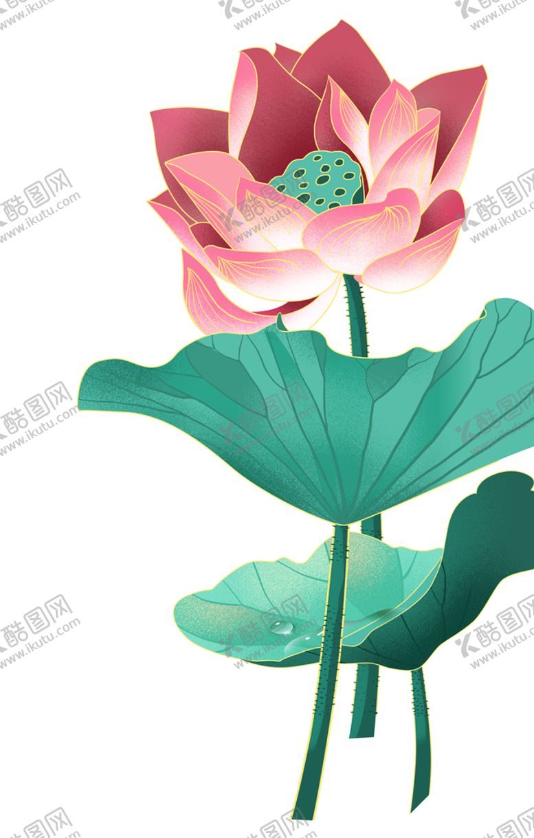 编号：28957109220952166370【酷图网】源文件下载-荷花 荷叶