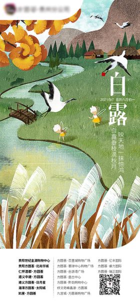 白露海报