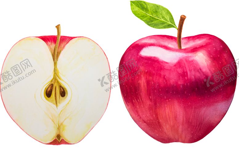 编号：44512910031121566071【酷图网】源文件下载-水果