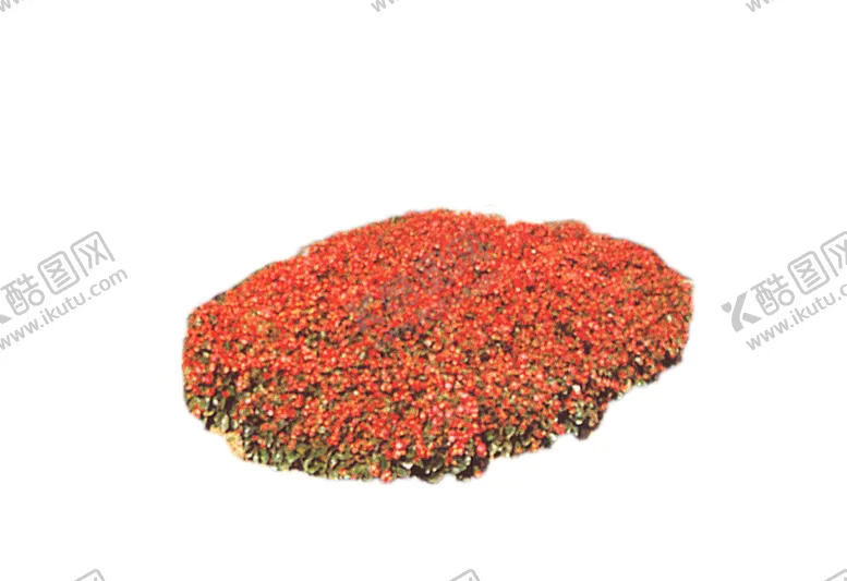 编号：92776707010605332698【酷图网】源文件下载-绿色植物