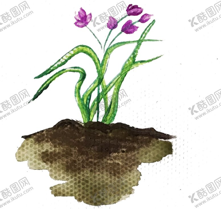 编号：94498910070859059363【酷图网】源文件下载-水粉画兰花素材